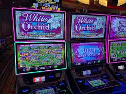 ব্লকি ব্লক গেমের নিয়ম ও কৌশল – mega casino